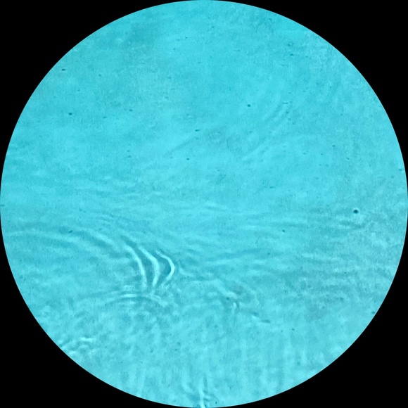 fjayala15